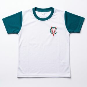 Polera gimnasia