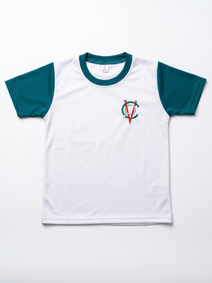 Polera gimnasia
